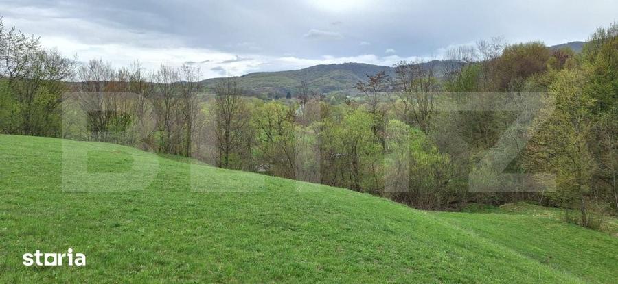 Teren de 12500 mp, în Șercaia