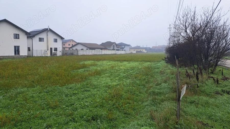 Teren de 5000 mp, în Preajba