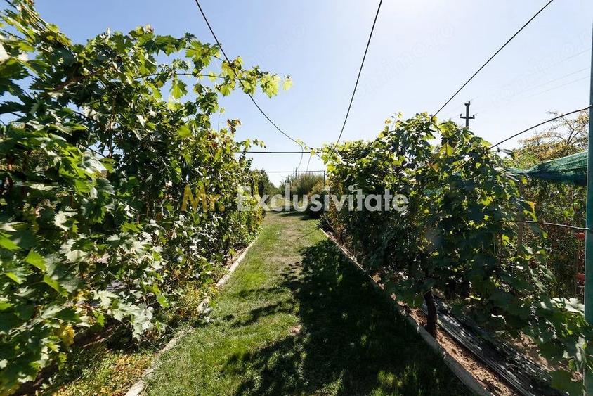Casă cu 2 camere cu Teren 5000 Mp în Dârmănești