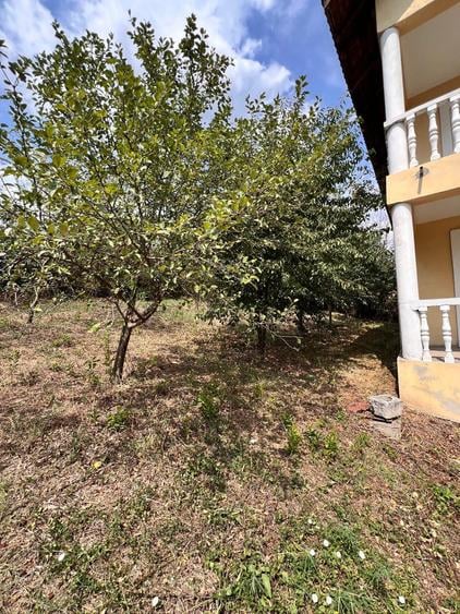 Casă individuală cu 6 camere cu Canalizare în Agrement Ostroveni