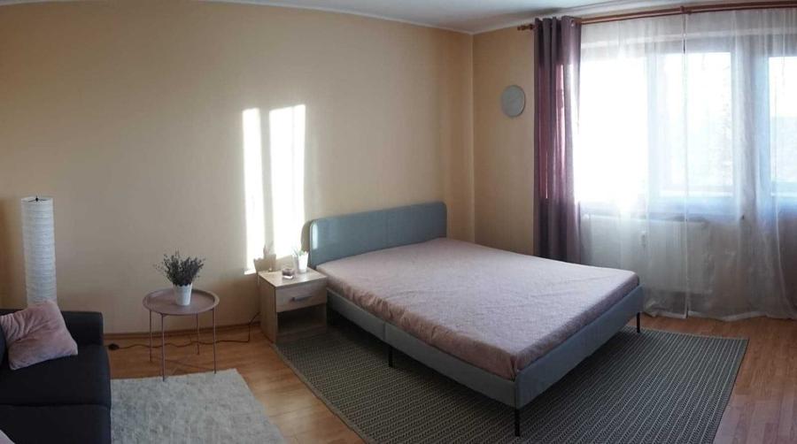 Apartament pe o strada linistita de case, zona Brancoveanu / Elisabetin - 4
