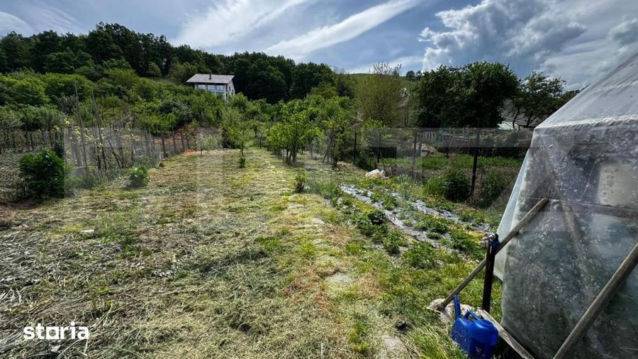 Casă cu 3 camere cu Teren 1180 Mp în Săsciori