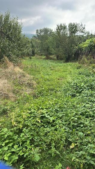 Teren de 1988 mp, în Turcinești