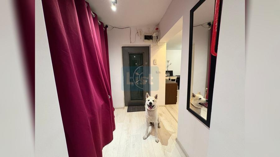 Apartament cu 3 camere decomandat, mobilat în Zorilor