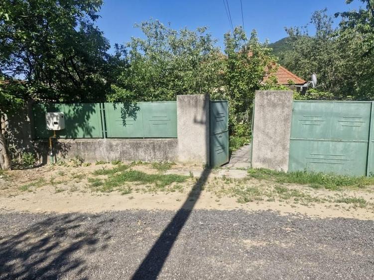 Casă individuală cu 3 camere cu Canalizare în Pianu de Sus