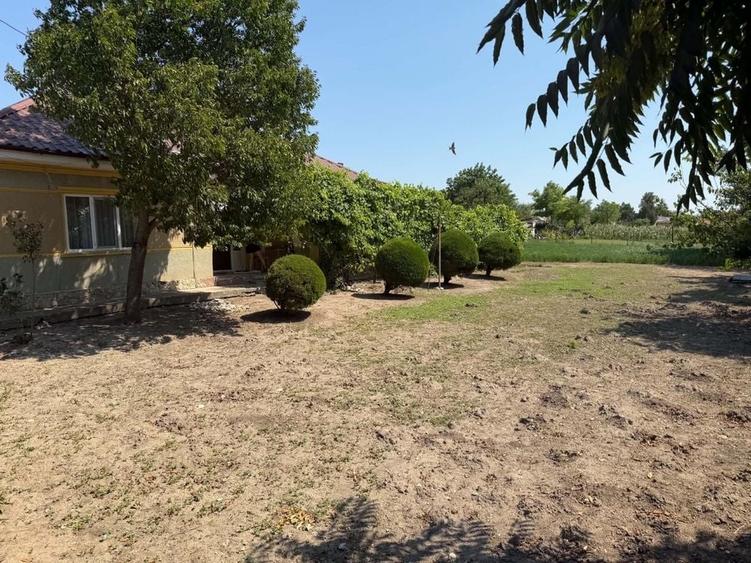 Casă cu 3 camere în Olteni