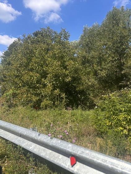 Teren Construcții intravilan de 2501 mp, în Valea Mare-Podgoria