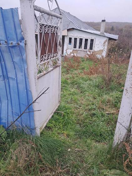 Casă cu Teren 3000 Mp în Docani
