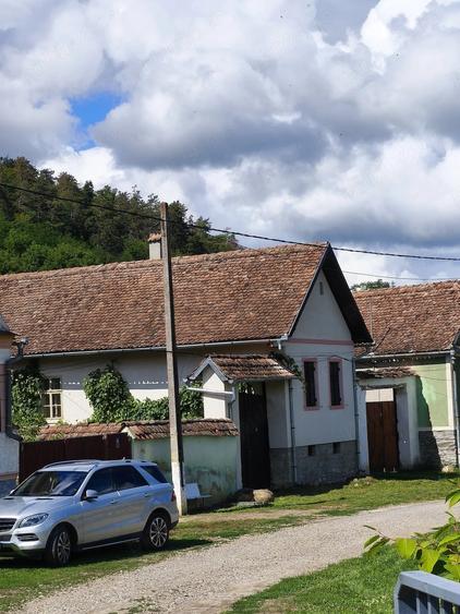 Casă cu Teren 5000 Mp în Apold