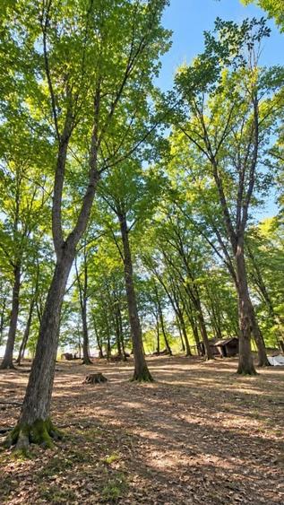 Teren extravilan de 17000 mp, în Prejmer