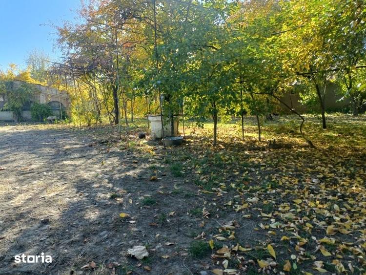 Casă cu 3 camere cu Teren 9000 Mp în Bucureștii Noi