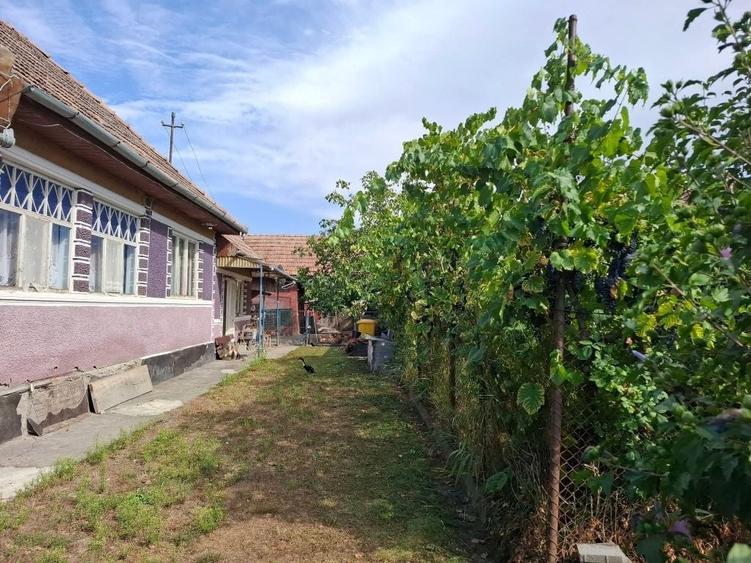 Casă cu 3 camere în Vidrasău