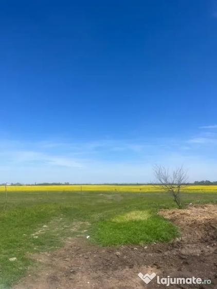 Teren în Coșoveni
