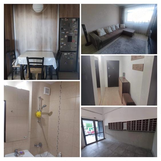 Apartament cu 2 camere decomandat, mobilat în Podu Roș