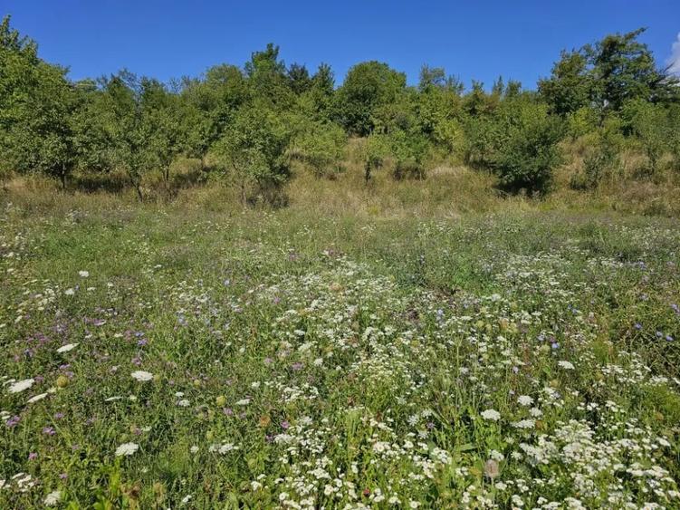Casă cu 5 camere în Mărunțișu