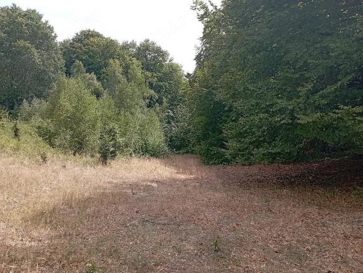 Teren de 3500 mp, în Valea Babei