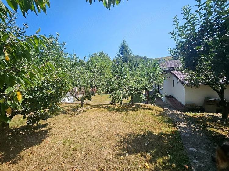 Oferta vanzare casa si teren 1697 mp in Stefanesti, 97000 EURO - 12