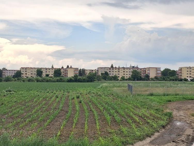 Teren Construcții intravilan de 9500 mp, în Triaj