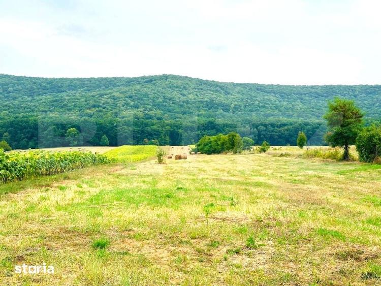 Teren de 15000 mp, în Schitu Duca