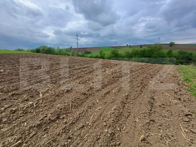 Teren agricol extravilan de 5000 mp, în Periferie