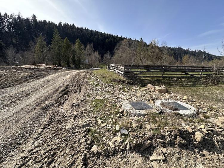 Teren de 6888 mp, în Putna