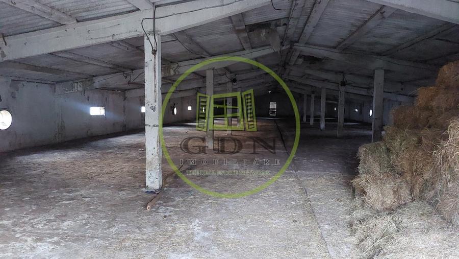 Spațiu industrial, de 7,000 mp, în Pielești