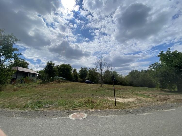 Teren de 1450 mp, în Satu Nou de Jos