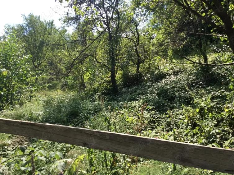Teren de 887 mp, în Central