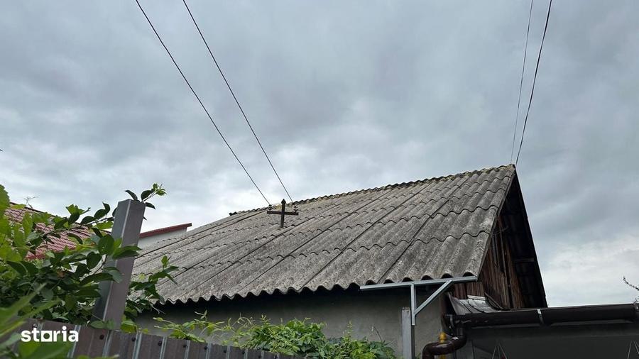 Colentina, Andronache, Pepiniera - 17