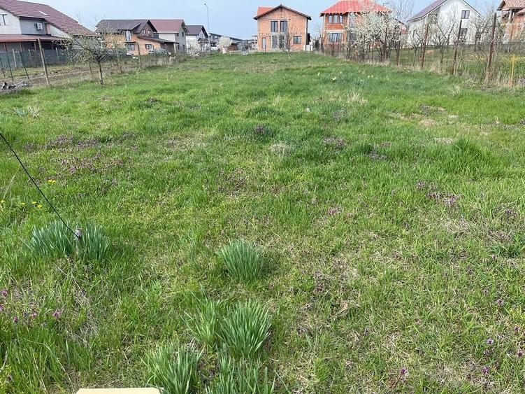 Teren de 1500 mp, în Giarmata
