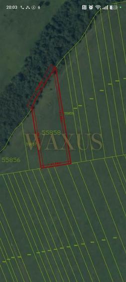 Teren agricol extravilan de 4500 mp, în Ciurila