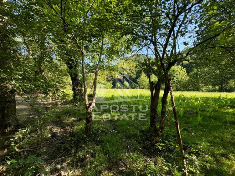 Teren Construcții extravilan de 1300 mp, în Groș