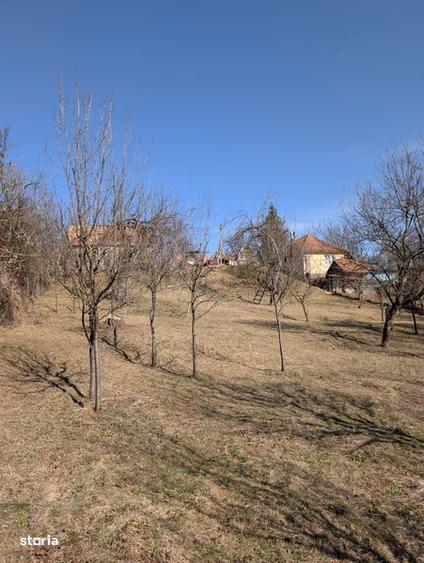 Teren de 2784 mp, în Căpușu Mare