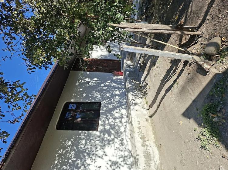 Casă cu Teren 2600 Mp în Crețești
