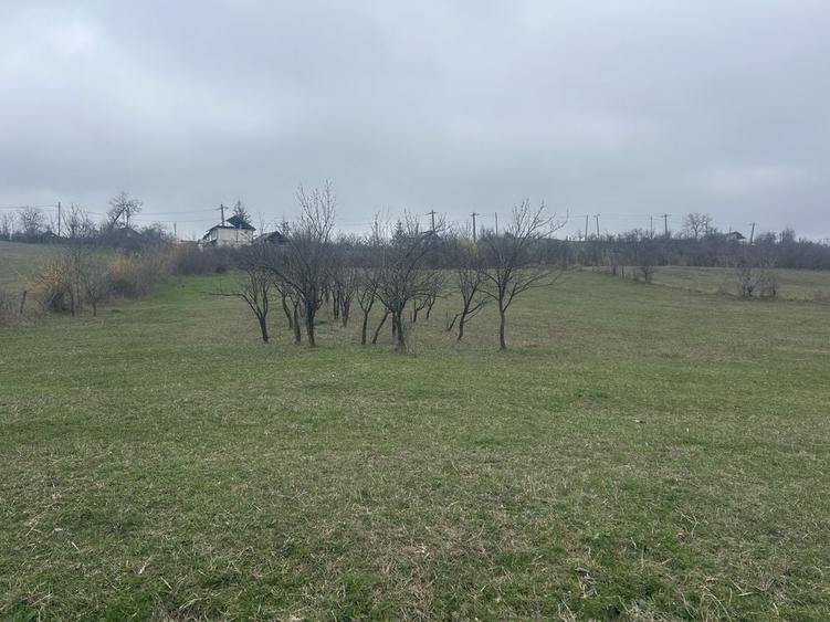 Spațiu comercial, în Ocnița