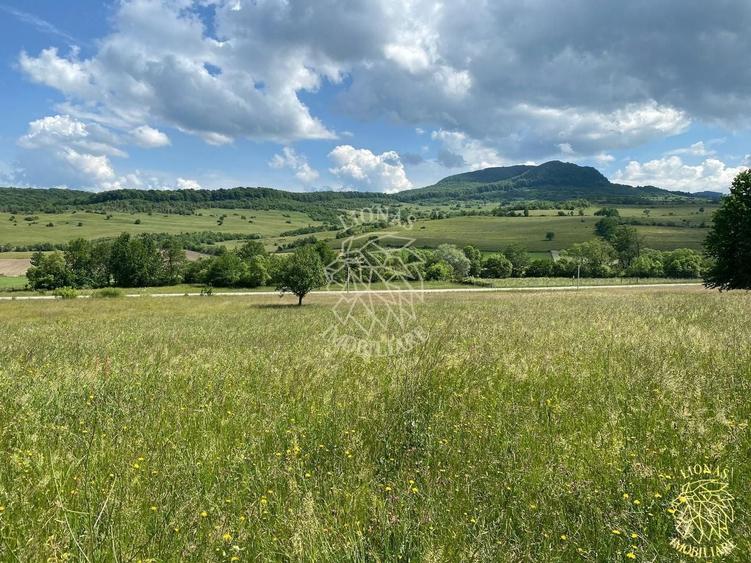Teren agricol extravilan de 6500 mp, în Cușma