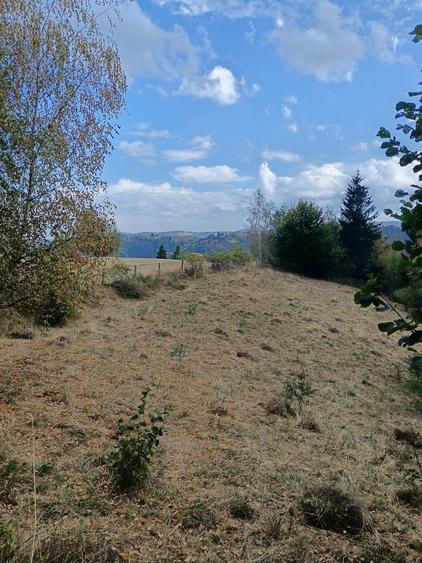 Teren de 4600 mp, în Mărișel