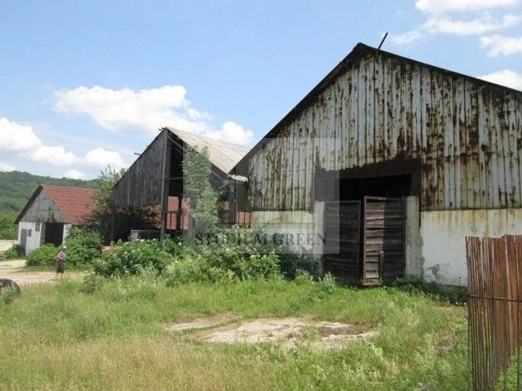 Teren de 12580 mp, în Șopotu Vechi