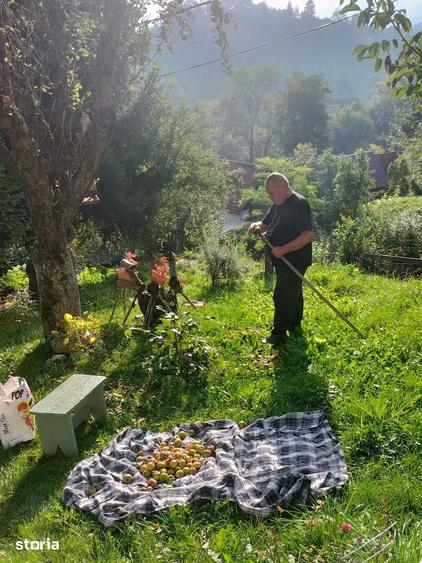 Casă cu 7 camere cu Teren 1350 Mp în Bran