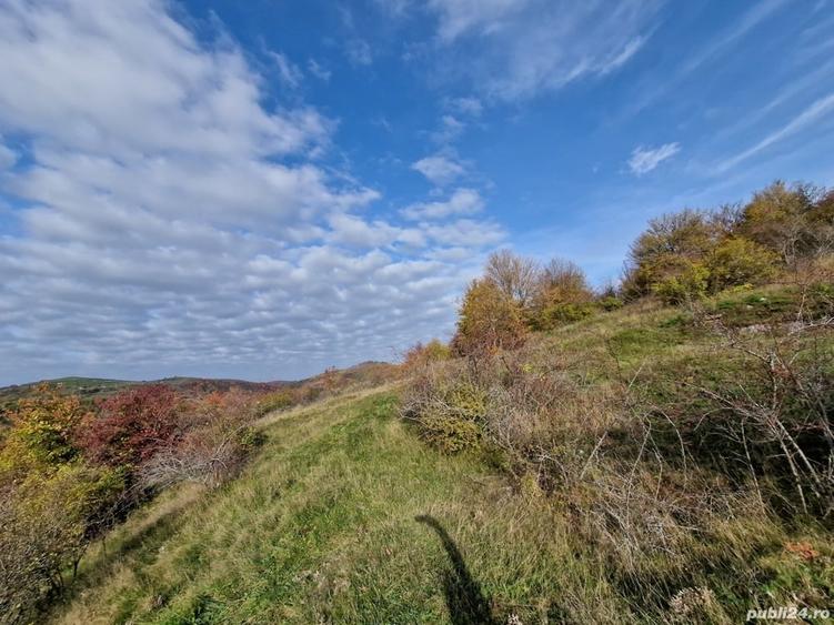 Teren de 18527 mp, în Cerbăl