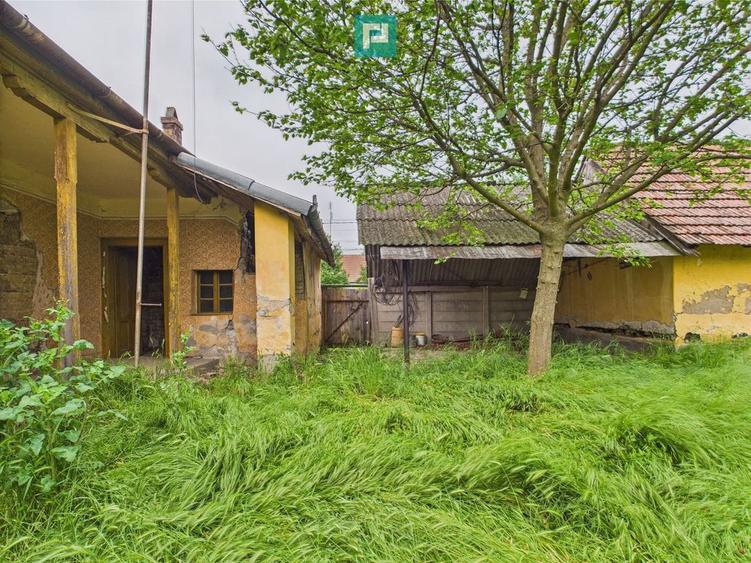 Casa de reabilitat pe teren generos- Comuna Varia? - 4
