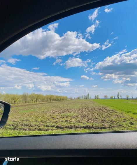 Teren de 7000 mp, în Filipeștii de Târg