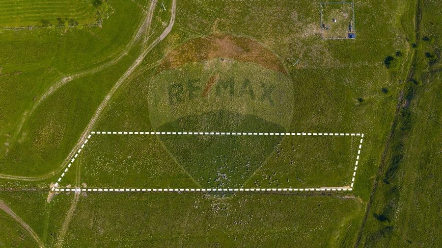 Teren agricol extravilan de 10000 mp, în Glăjărie