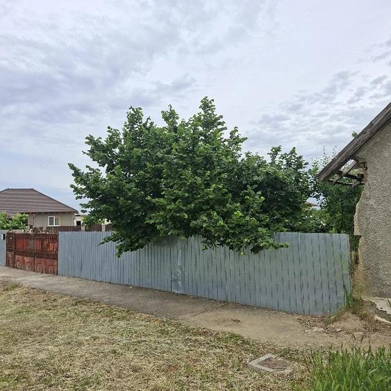 Teren de 500 mp, în Ciuperceni