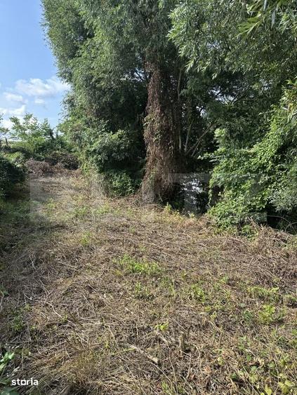 Teren de vanzare 942 m2 | Zavoaie, Bistrita | Acces direct la rau - 2