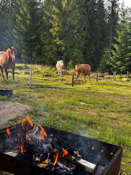 Teren de 380 mp, în Arieșeni