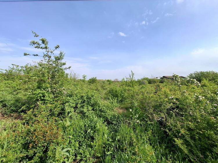 Teren Construcții intravilan de 3300 mp, în Vlădiceasca