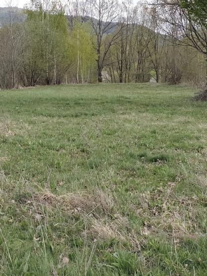 Teren de 823 mp, în Șinca