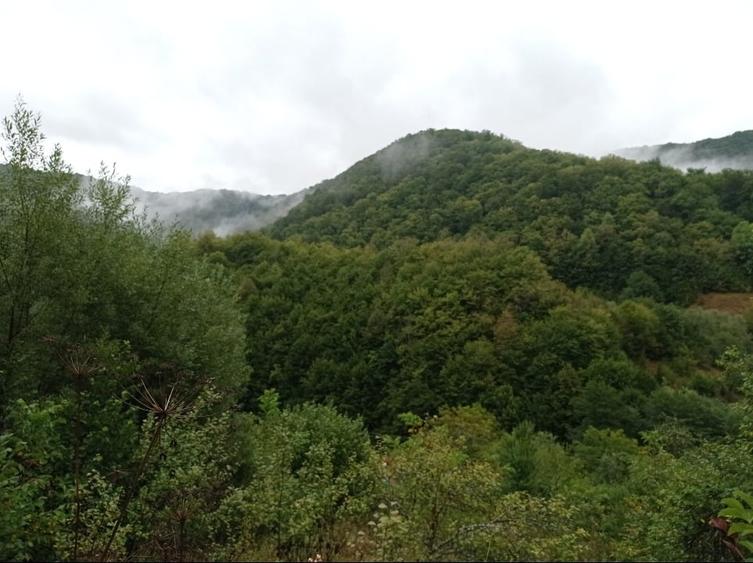 Teren Construcții extravilan de 32000 mp, în Rusca Montană