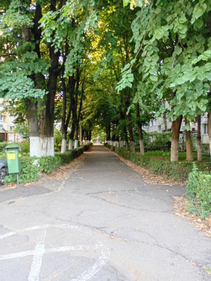 Apartament cu 2 camere decomandat în Negru Vodă